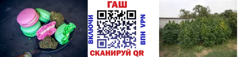 даркнет сайт  Щучье  Печенье с ТГК марихуана 